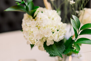 White hydrangea flowers and stems indoor at an event 