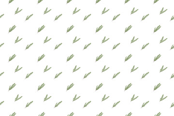 rosemary leaf as seamless pattern background