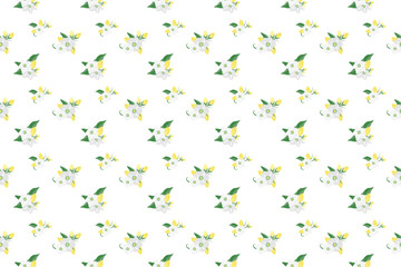 white flower with leaf as seamless pattern background