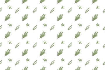 rosemary herb as seamless pattern background