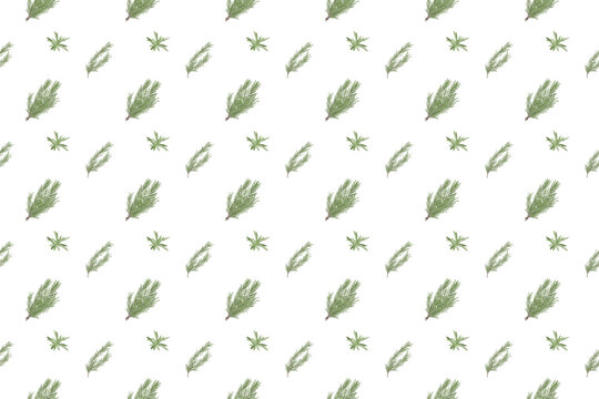 rosemary herb as seamless pattern background