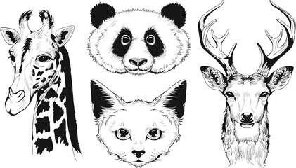 Obraz premium Set head animal vector sketch drawing isolated on white background