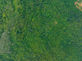 Aerial view Drone camera top view rainforest trees ecology with healthy environment concept and summer background