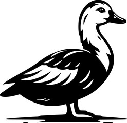 Muscovy Duck icon 8