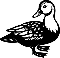 Muscovy Duck icon 4