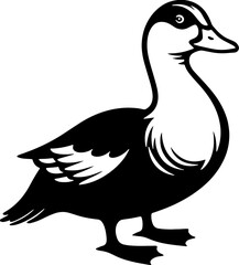 Muscovy Duck icon 3