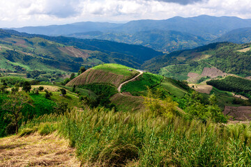 Fototapeta premium Panoramic nature background On a high mountain, you can see the scenery of trees, grass, and lush rice fields. While traveling on an adventure trip