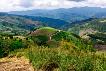 Fototapeta na wymiar Panoramic nature background On a high mountain, you can see the scenery of trees, grass, and lush rice fields. While traveling on an adventure trip