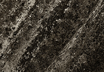 monochrome mold cement wall with crack broken background, fungus on a rock and detail texture	