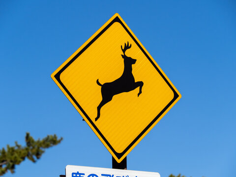 道路標識(警戒標識)「動物が飛び出すおそれあり」。
