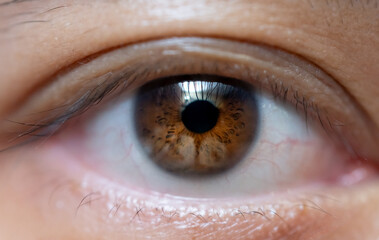 Macro shot of brown eye, close up of adult asian eye with eyelashes.