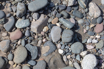 The bottom, the shallow river, the remains of the wood and stone fraction, a sunny day, walking along the shore, a panorama of the ground.