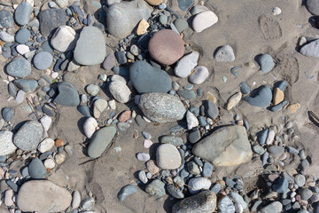 The bottom, the shallow river, the remains of the wood and stone fraction, a sunny day, walking...