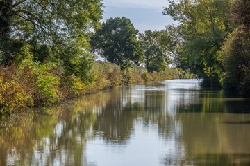 Fototapeta na wymiar reflection of trees on the canal