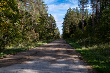 Fototapeta na wymiar road in Latvia countryside through forest with tree shadows