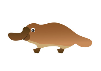 Funny cute Platypus isolated on white. Cartoon children character. Vector simple illustration of Australian animal.