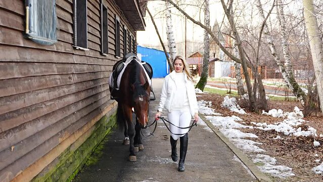 Beautiful professional female jockey walking with brown horse on farm. Friendship with horse