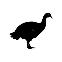 silhouette of a turkey