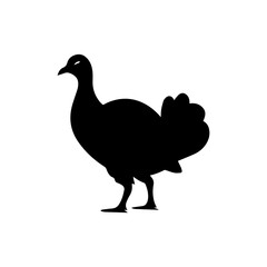 silhouette of a turkey