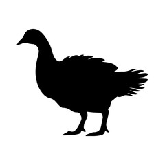silhouette of a turkey