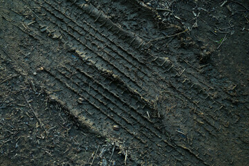 泥道に付いたタイヤ痕