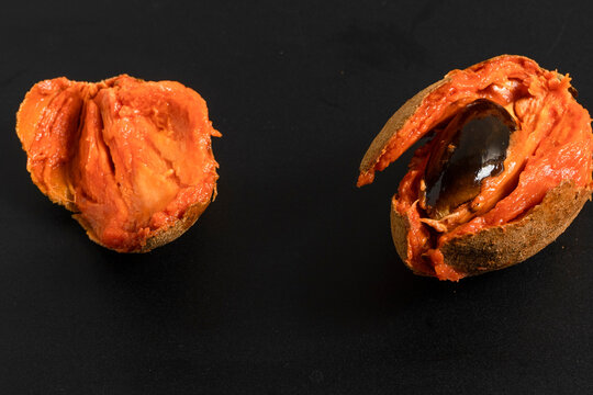 Tropical fruit mamey sliced zapote