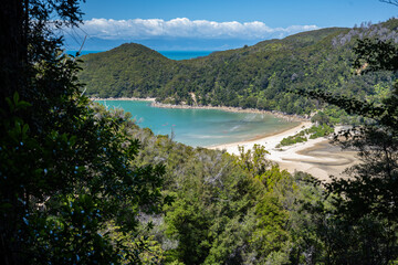 Coastal View along Abel Tasman Walk