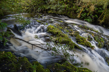 Obraz premium McLean Falls