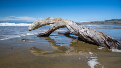 Mega Driftwood