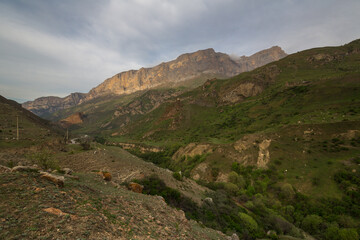 Panoramic view of the Caucasus mountains on sunset