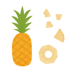 Pineapple slice. Summer fruits textured. Hand drawn organic vector illustration