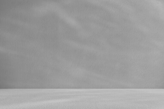 Empty gray room studio with shadow of tree leaves on the wall and floor for product presentation. Sunlight effect shadow concept. Minimal room backdrop design. Cosmetic, beauty and fashion showroom.