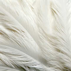 High-Resolution Soft Feather Texture