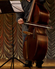 Musician with a double bass.