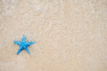 Fototapeta na wymiar Starfish on sandy beaches and stunning blue sea waves on the Andaman Islands.