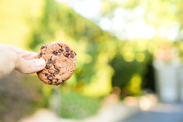 Horizontal view and selective focus of delicious cookie held by kid in the garden