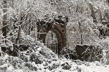 Snow covered Branches - Gate - Door - Entrance - Entry - Winter - Cold - Background - Mood - Nature - Lost Place - Urbex - Hidden - Decay - Urbex / Urbexing - Lost Place 