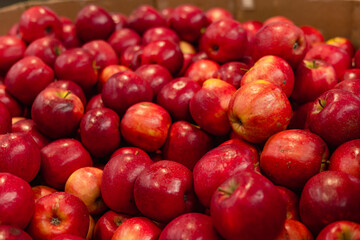 Fototapeta na wymiar large amount of red apples in a market or store