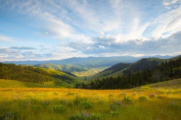 Spring or summer landscape with mountains green fields, and wild land of Montana