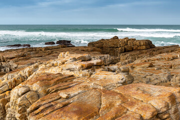abstract, texture, rocks, plants, stone, rock, nature details for a background