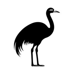 ostrich silhouette isolated on white