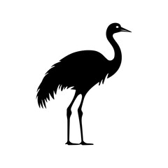 Fototapeta premium ostrich silhouette isolated on white