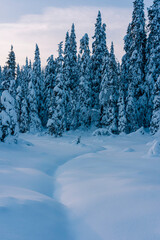 Fototapeta premium The Olterudelva River passing through the Hemningsdalen Valley of the Totenaasen Hills, Norway, in winter.