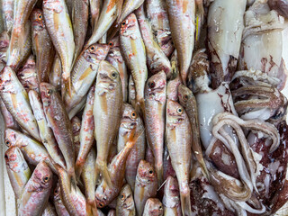Obraz premium Top view of raw red mullet fish on ice on display at seafood fish market