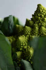 Romanesco Broccoli Cauliflower against a simple white background