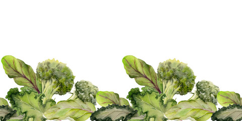 Hand drawn watercolor vegetables and green salad mix for diet, healthy lifestyle, vegan cooking. Illustration seamless border isolated on white background. Design poster, print, website, card, menu
