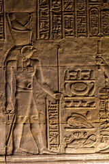 Horus and other egyptian hieroglyphs on golden wall - obrazy, fototapety, plakaty