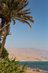 Fototapeta na wymiar Beautiful beach in Dahab with desertic mountains behind