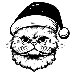 Christmas cat, Cute Exotic Shorthair Cat in Santa hat head, Generative AI.
