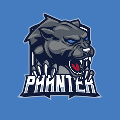 Vector panther mascot logo template for sport bussiness and gaming team isolated